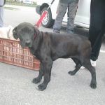 26626_293500274092828_1834509365_n