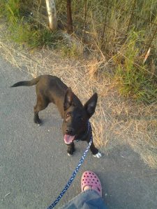 amyke