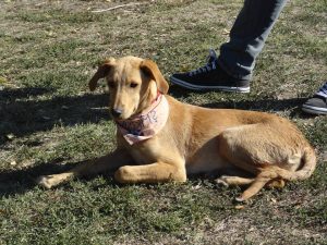 974525_526331657435898_1704839638_n