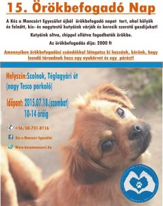 Read more about the article 15. örökbefogadó nap :)
