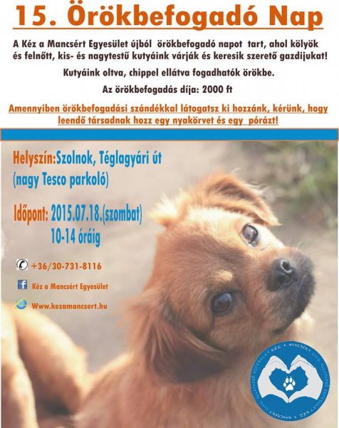 Read more about the article 15. örökbefogadó nap :)