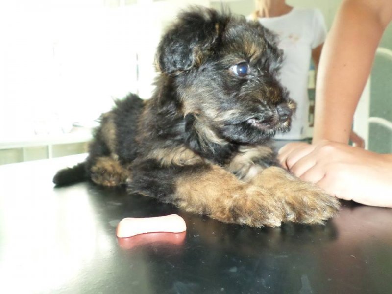 You are currently viewing GAZDIS! :) Bruno baba