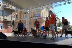 Read more about the article Civil kavalkád 2015