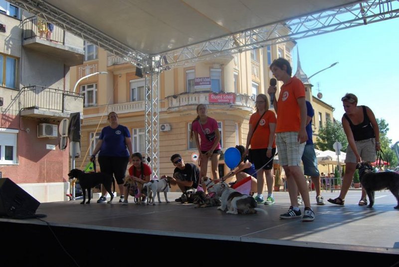Read more about the article Civil kavalkád 2015