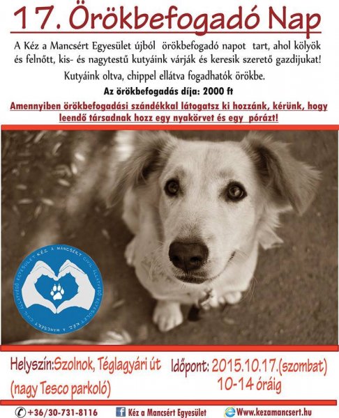 Read more about the article 17. örökbefogadónap :)