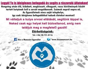 Read more about the article Légy Te is ideiglenes befogadó!!