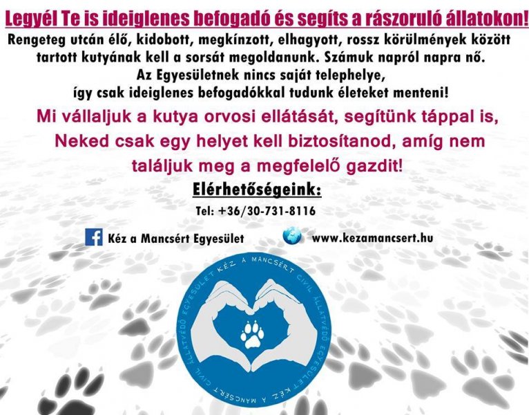 Read more about the article Légy Te is ideiglenes befogadó!!