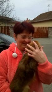 Read more about the article A chipnek hála, Liza is otthon van már!