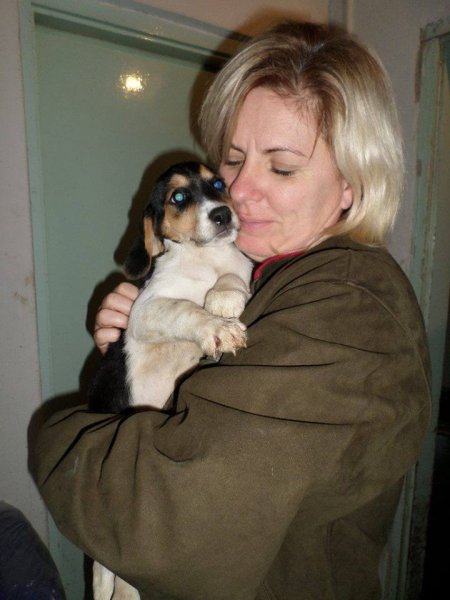 Read more about the article GAZDIS :) Kicsi beagle