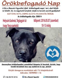Read more about the article 18. örökbefogadó nap! :)
