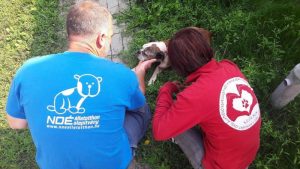 Read more about the article Príma, a Noé gondozásába került!