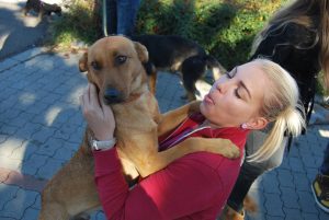 Read more about the article Örökbefogadó nap!!! 2016.10.08.