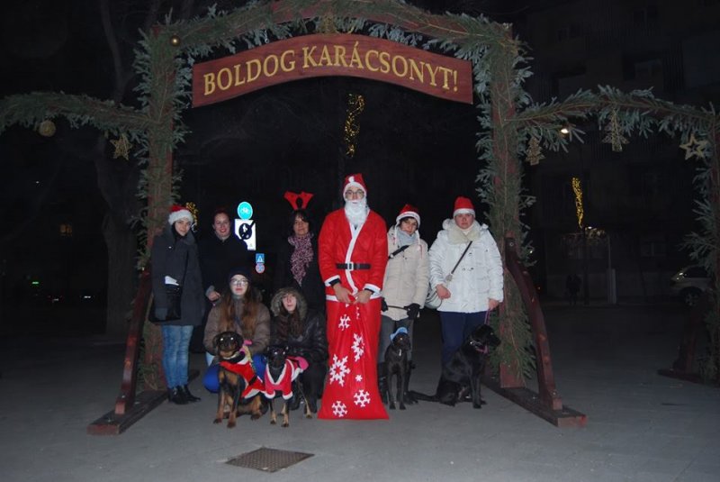 Read more about the article Mikulás séta 2016