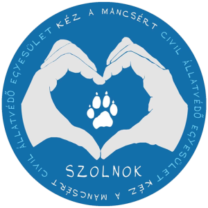Read more about the article 2019 beszámoló